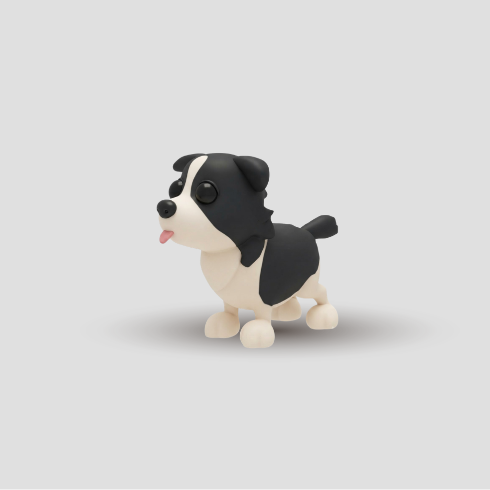 Border Collie