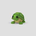 Tortuga