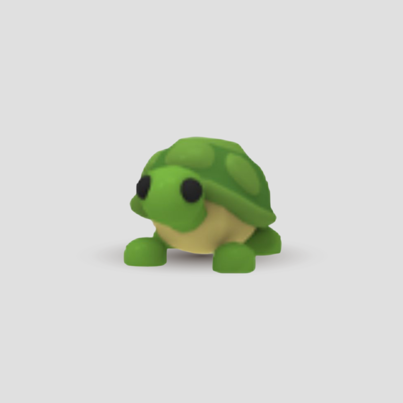 Tortuga
