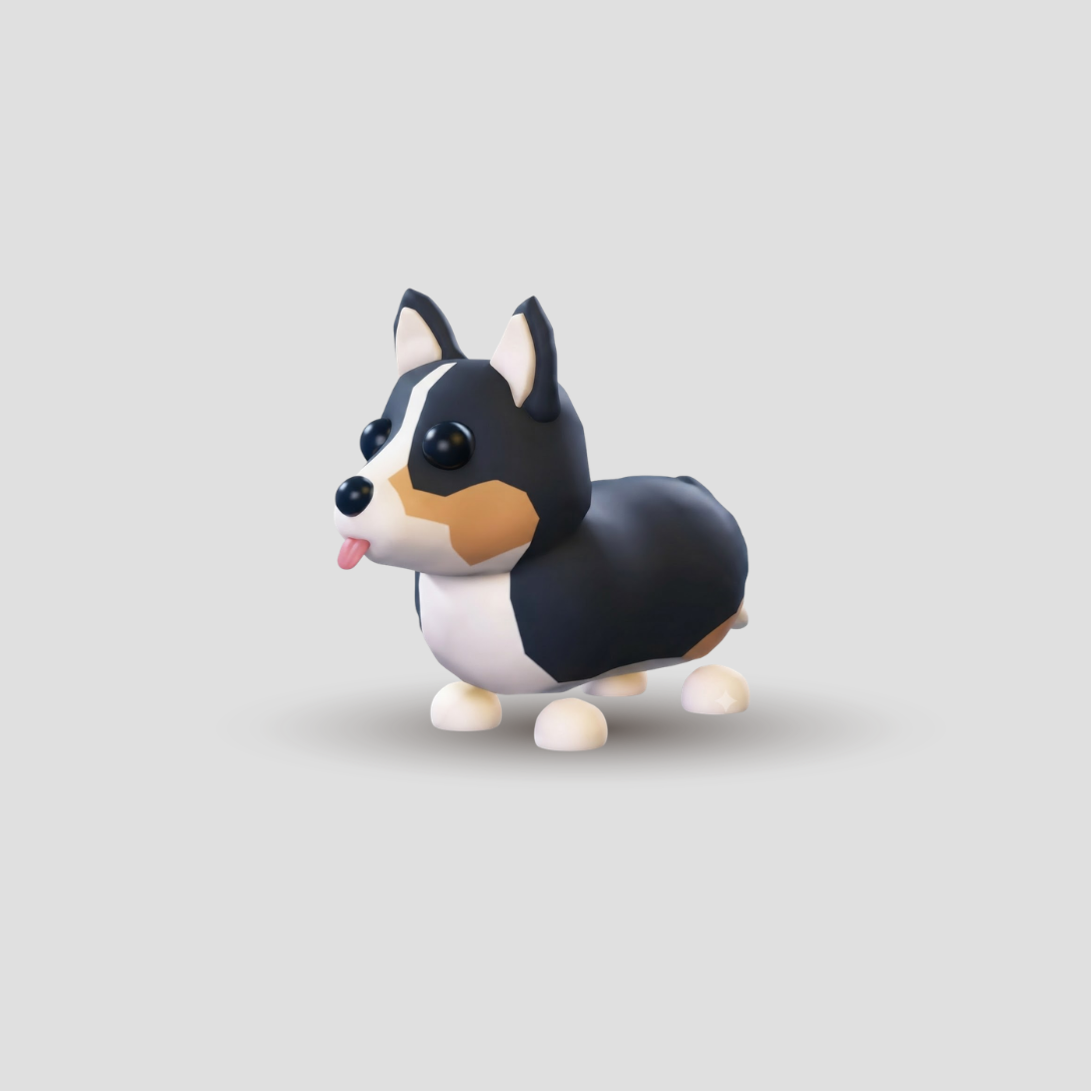 Corgi Real