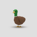 Pato Drake
