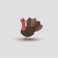 Pavo