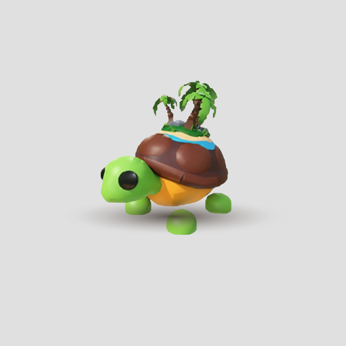 Tortuga de Isla